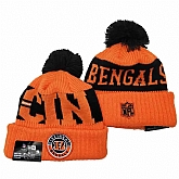 Cincinnati Bengals Team Logo Knit Hat YD (12)